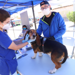 Operativos veterinarios móviles: una gran ayuda<div class="yasr-vv-stars-title-container"><div class='yasr-stars-title yasr-rater-stars'
                          id='yasr-visitor-votes-readonly-rater-9754c56a373d3'
                          data-rating='0'
                          data-rater-starsize='16'
                          data-rater-postid='450'
                          data-rater-readonly='true'
                          data-readonly-attribute='true'
                      ></div><span class='yasr-stars-title-average'>0 (0)</span></div>