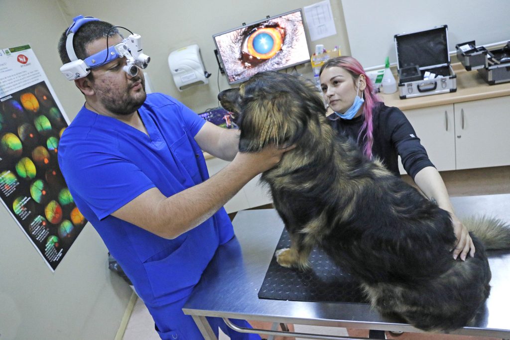 Clínica Veterinaria UdeC