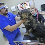 Clínica Veterinaria UdeC