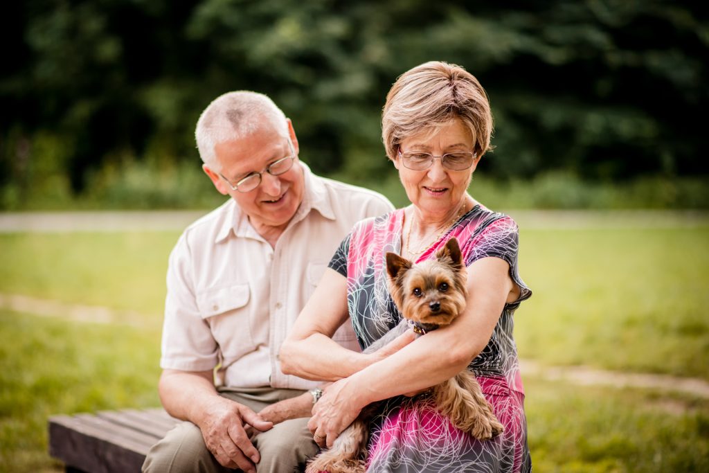 El rol de las mascotas en la salud de los adultos mayores